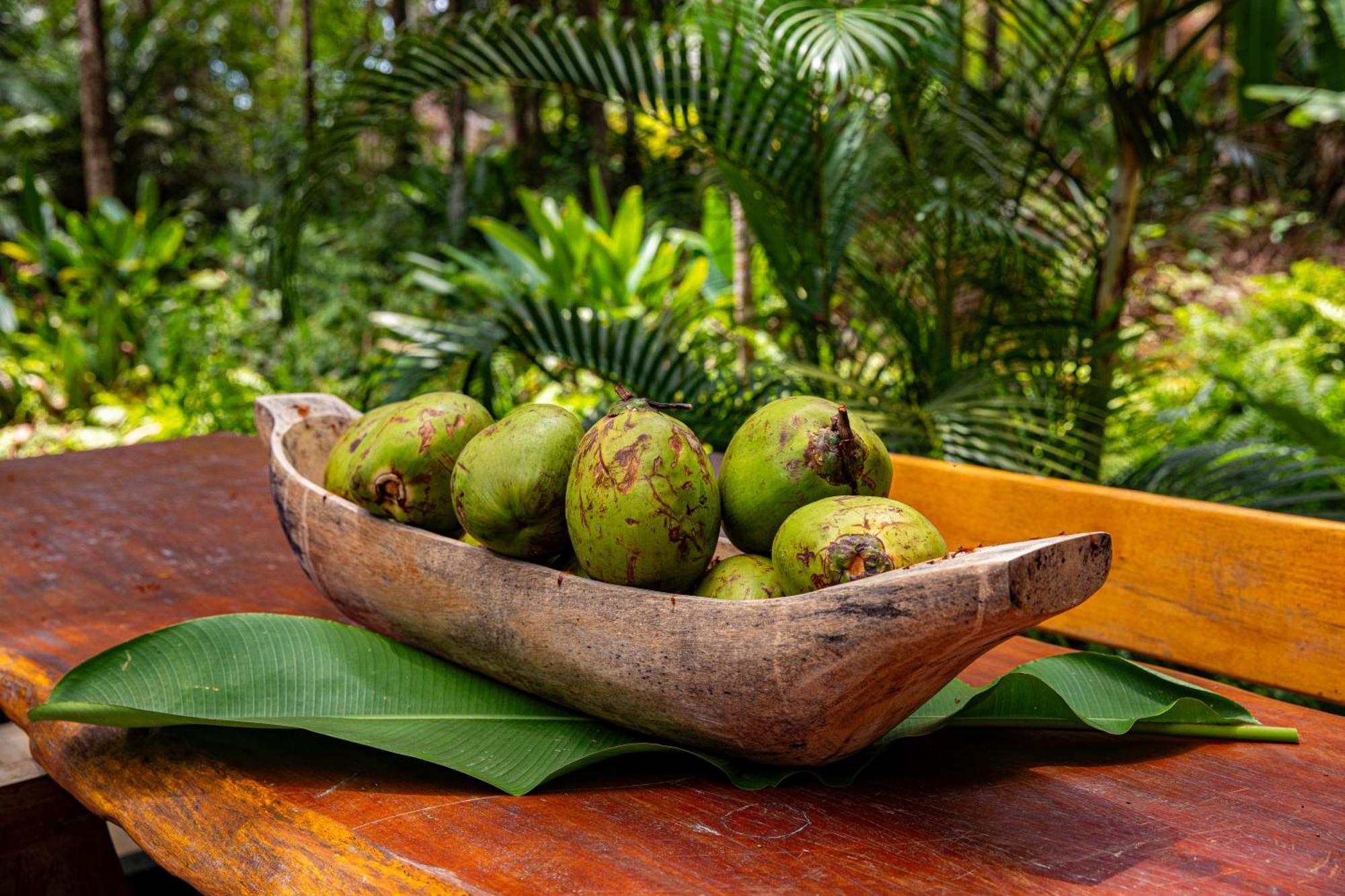 Vila Morena Altos De Itapororoca Trancoso Eksteriør bilde